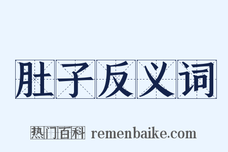 肚子反义词是什么意思的图片